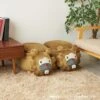 Bidoof (Female Forme) Stool Pokémon(Bidoof Female Forme Stool Pokemon) -ICHIBA TOYS SHOP bidoof female forme stool pokemon cushion pokemon center 865217