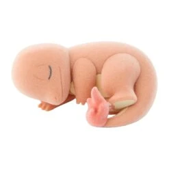 Greengrass Isle Figure Collection - Pokémon Sleep (6Pcs/BOX)(Greengrass Isle Figure Collection Pokemon Sleep 6pcs Box) -ICHIBA TOYS SHOP greengrass isle figure collection pokemon sleep 6pcsbox figure pokemon center 112581