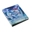 Binder Latias & Latios(Binder Latias Latios)