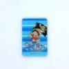 Luffy Shinkansen Panel Magnet - ONE PIECE(Luffy Shinkansen Panel Magnet One Piece) -ICHIBA TOYS SHOP luffy shinkansen panel magnet one piece magnet toy jr train box 543795